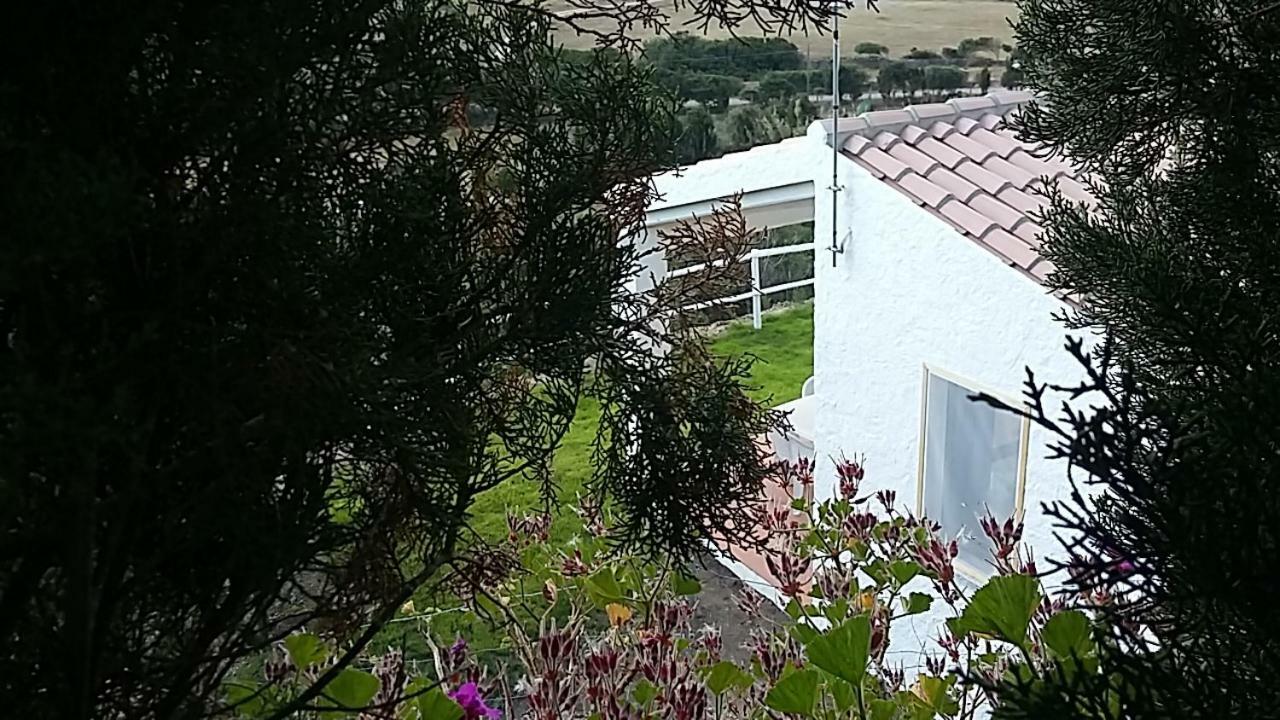 Отель Agriturismo La Valletta Санта-Тереза-Галлура Экстерьер фото