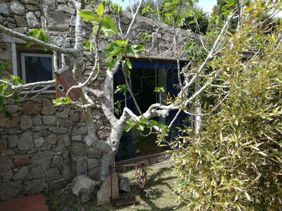 Отель Agriturismo La Valletta Санта-Тереза-Галлура Экстерьер фото